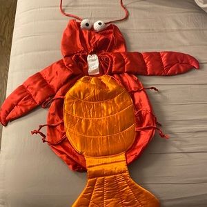 Baby lobster costume! Size 6-18 months.